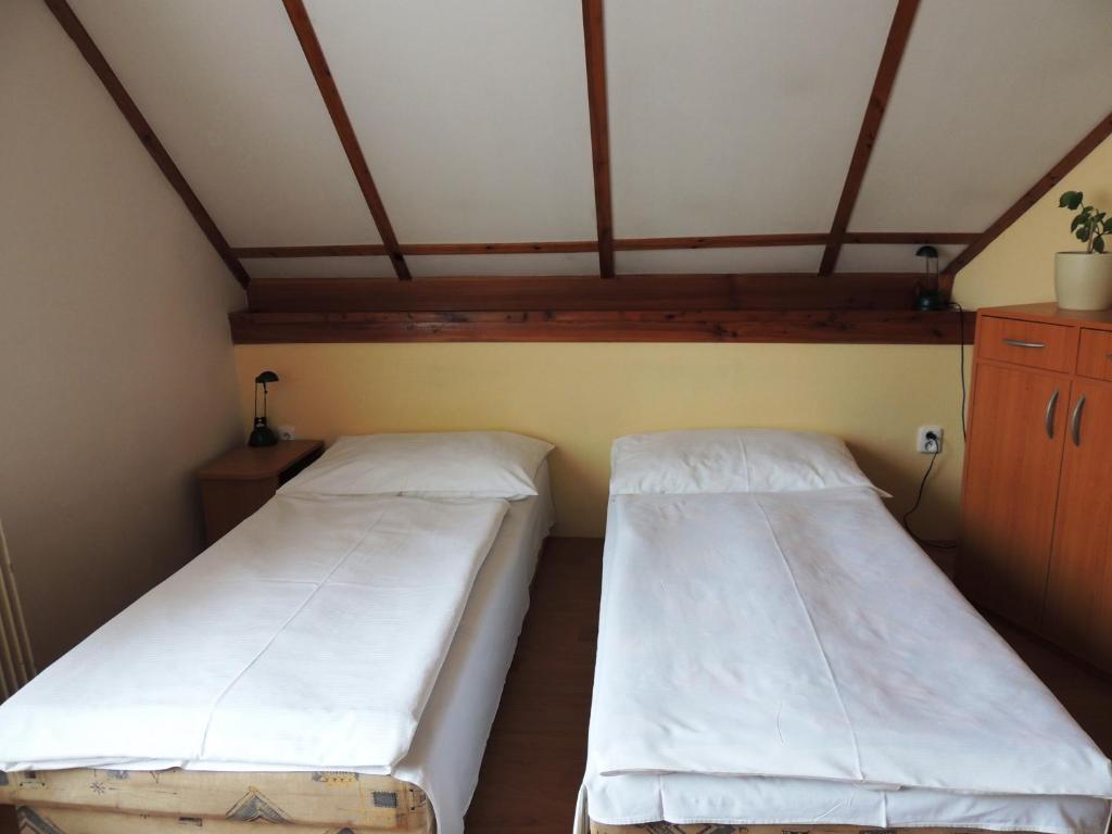 Penzion Pohoda Beroun ベロウン 部屋 写真